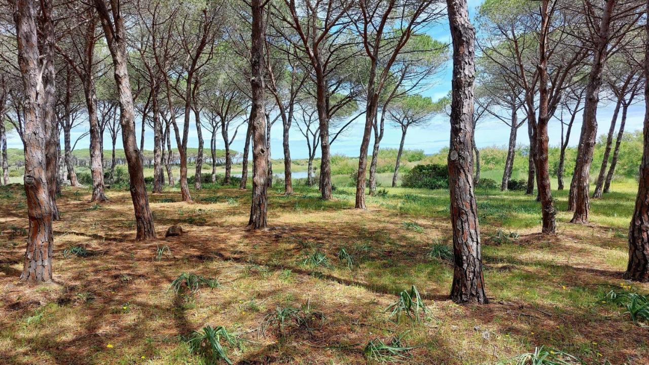 Residenze Pedrame Villa Budoni Buitenkant foto